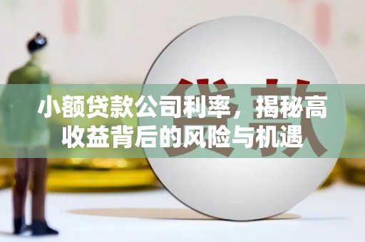 玉山小额贷款公司利率，揭秘高收益背后的风险与机遇