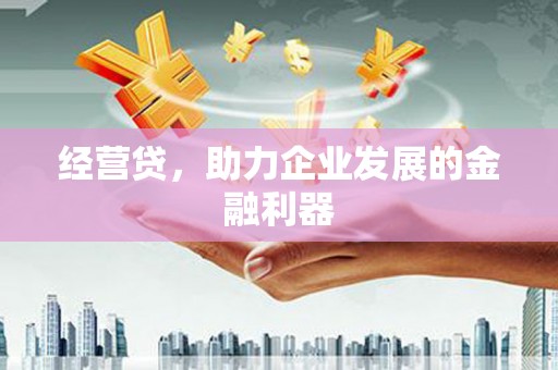 玉山经营贷，助力企业发展的金融利器