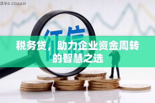 玉山税务贷，助力企业资金周转的智慧之选
