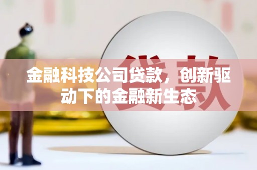 玉山金融科技公司贷款，创新驱动下的金融新生态