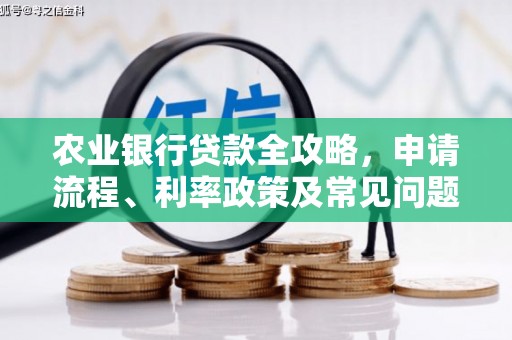 玉山农业银行贷款全攻略，申请流程、利率政策及常见问题解析