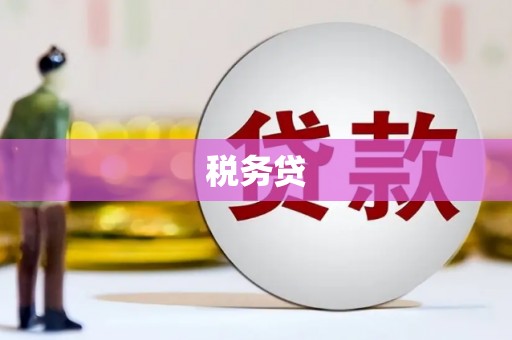 玉山税务贷