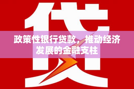 玉山政策性银行贷款，推动经济发展的金融支柱