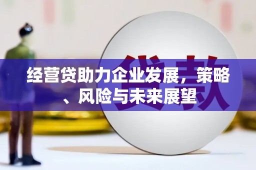 玉山经营贷助力企业发展，策略、风险与未来展望