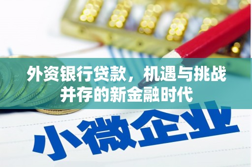 玉山外资银行贷款，机遇与挑战并存的新金融时代