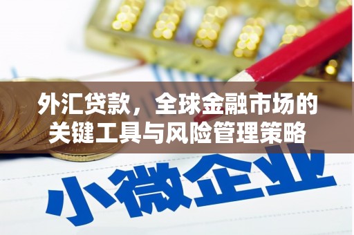 玉山外汇贷款，全球金融市场的关键工具与风险管理策略