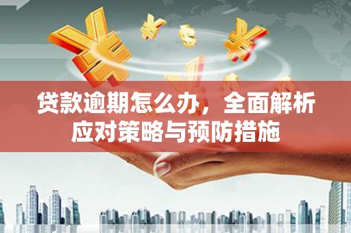玉山贷款逾期怎么办，全面解析应对策略与预防措施