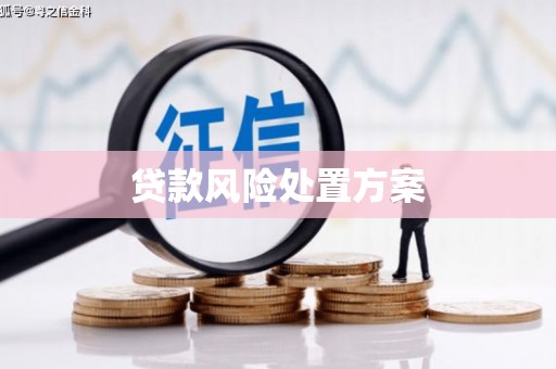 玉山贷款风险处置方案