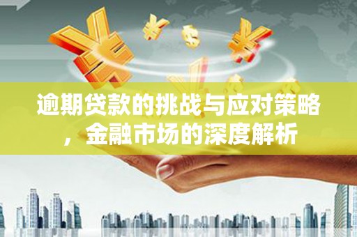 玉山逾期贷款的挑战与应对策略，金融市场的深度解析