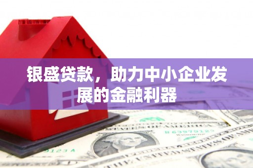 玉山银盛贷款，助力中小企业发展的金融利器