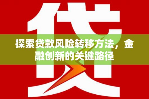 玉山探索贷款风险转移方法，金融创新的关键路径
