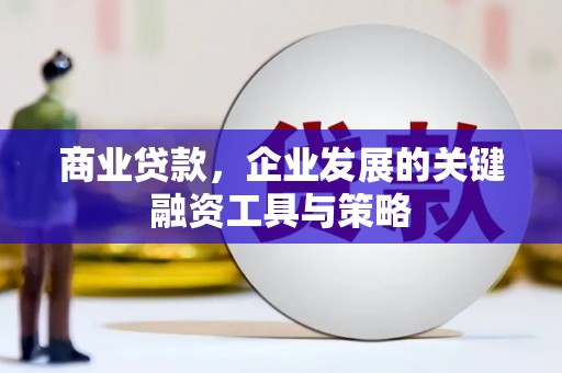 玉山商业贷款，企业发展的关键融资工具与策略