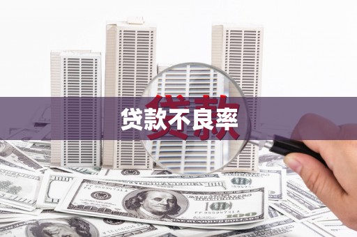 玉山贷款不良率