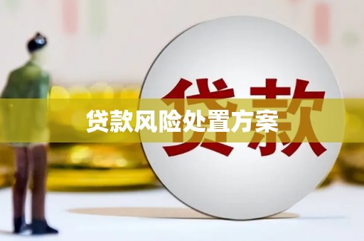 玉山贷款风险处置方案