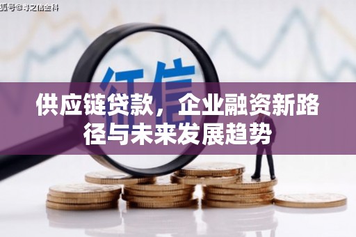 玉山供应链贷款，企业融资新路径与未来发展趋势