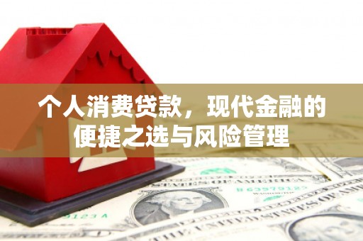 玉山个人消费贷款，现代金融的便捷之选与风险管理
