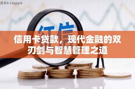 玉山信用卡贷款，现代金融的双刃剑与智慧管理之道