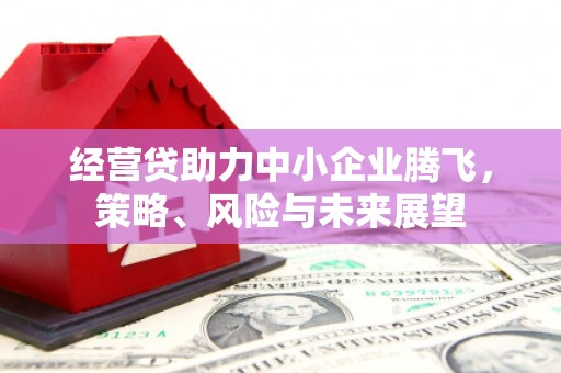 玉山经营贷助力中小企业腾飞，策略、风险与未来展望