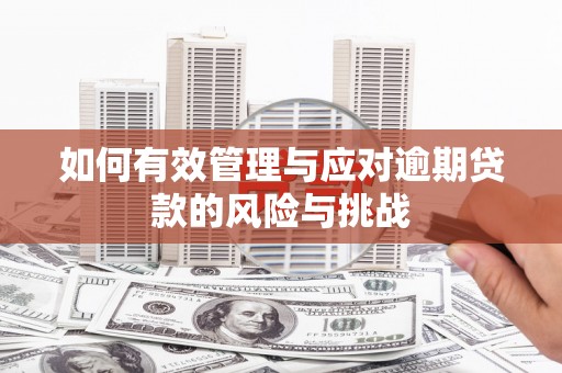 玉山如何有效管理与应对逾期贷款的风险与挑战