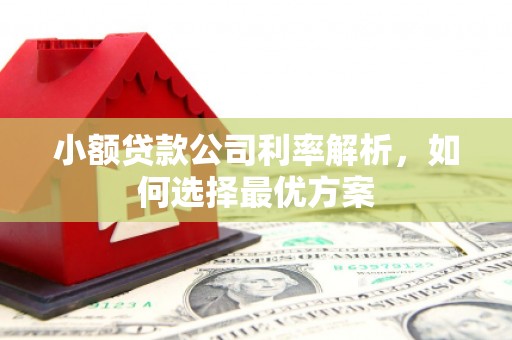 玉山小额贷款公司利率解析，如何选择最优方案
