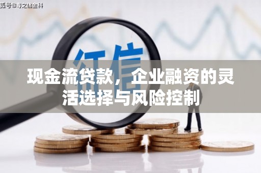 玉山现金流贷款，企业融资的灵活选择与风险控制