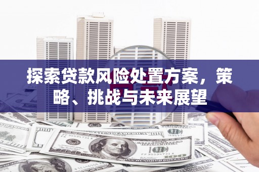 玉山探索贷款风险处置方案，策略、挑战与未来展望