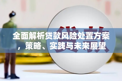玉山全面解析贷款风险处置方案，策略、实践与未来展望