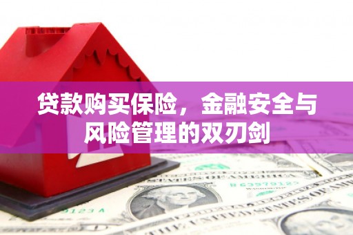 玉山贷款购买保险，金融安全与风险管理的双刃剑