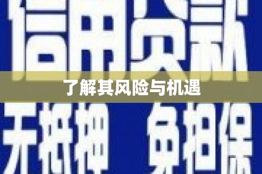 玉山了解其风险与机遇