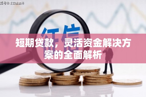 玉山短期贷款，灵活资金解决方案的全面解析