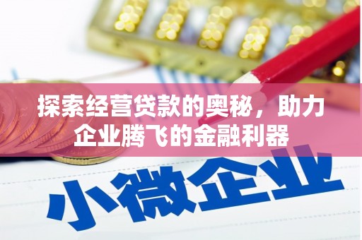 玉山探索经营贷款的奥秘，助力企业腾飞的金融利器