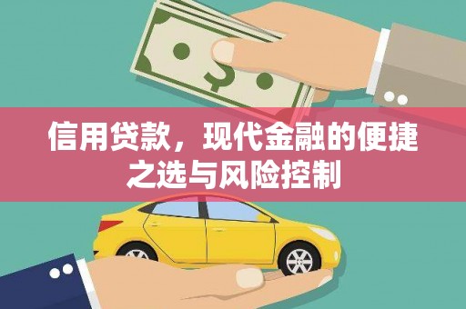 玉山信用贷款，现代金融的便捷之选与风险控制