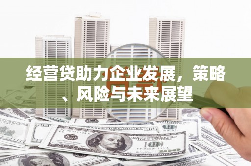 玉山经营贷助力企业发展，策略、风险与未来展望