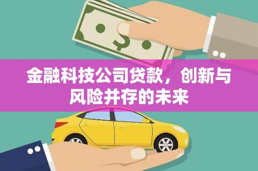 玉山金融科技公司贷款，创新与风险并存的未来