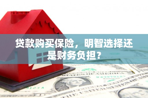 玉山贷款购买保险，明智选择还是财务负担？