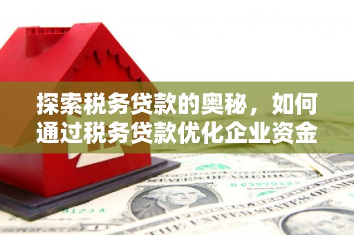 玉山探索税务贷款的奥秘，如何通过税务贷款优化企业资金流