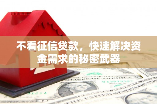 玉山不看征信贷款，快速解决资金需求的秘密武器