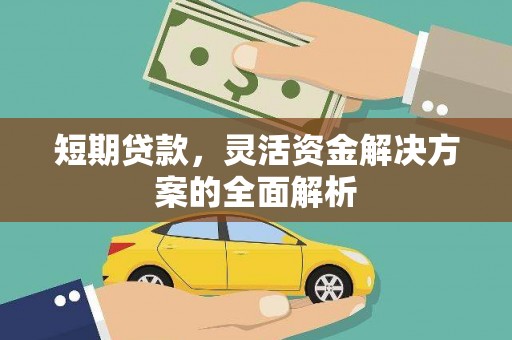 玉山短期贷款，灵活资金解决方案的全面解析