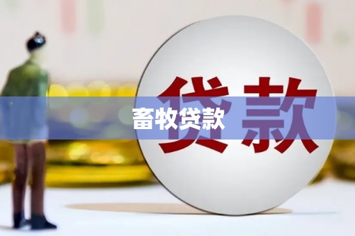 玉山畜牧贷款