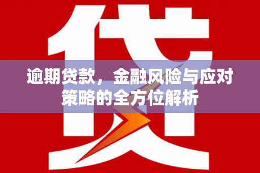 玉山逾期贷款，金融风险与应对策略的全方位解析