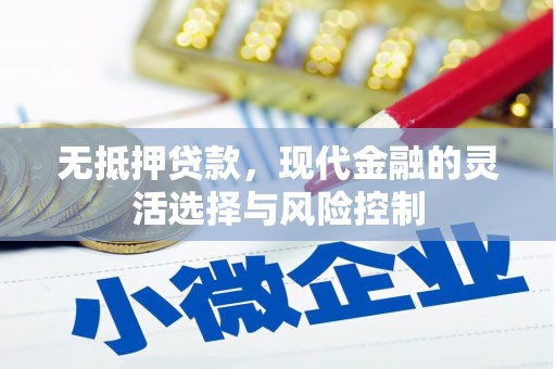 玉山无抵押贷款，现代金融的灵活选择与风险控制