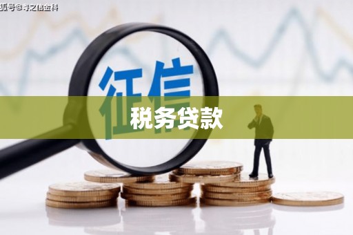 玉山税务贷款