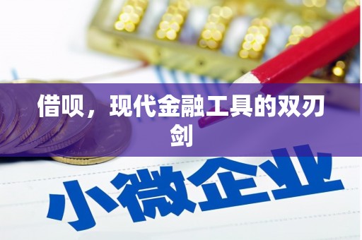 玉山借呗，现代金融工具的双刃剑