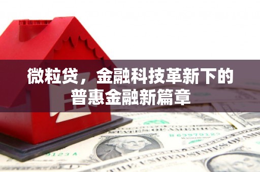 玉山微粒贷，金融科技革新下的普惠金融新篇章