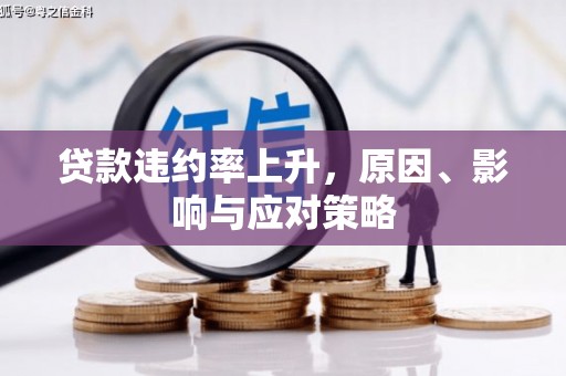 玉山贷款违约率上升，原因、影响与应对策略