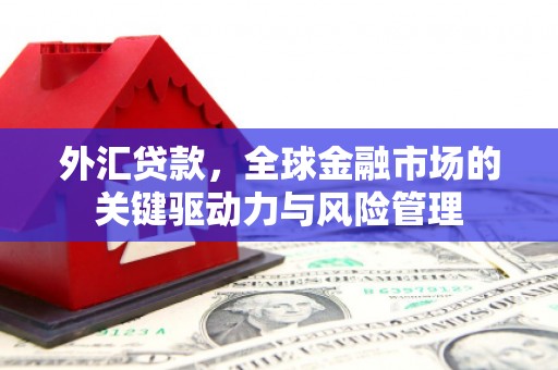 玉山外汇贷款，全球金融市场的关键驱动力与风险管理