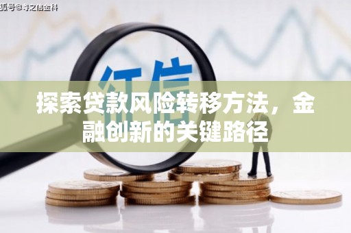 玉山探索贷款风险转移方法，金融创新的关键路径