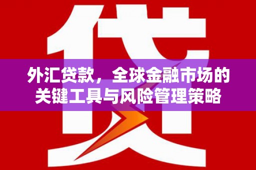玉山外汇贷款，全球金融市场的关键工具与风险管理策略