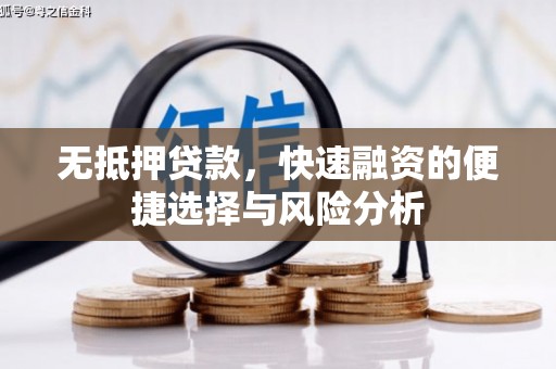 玉山无抵押贷款，快速融资的便捷选择与风险分析