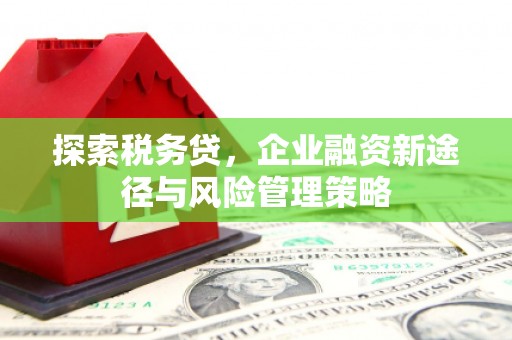 玉山探索税务贷，企业融资新途径与风险管理策略